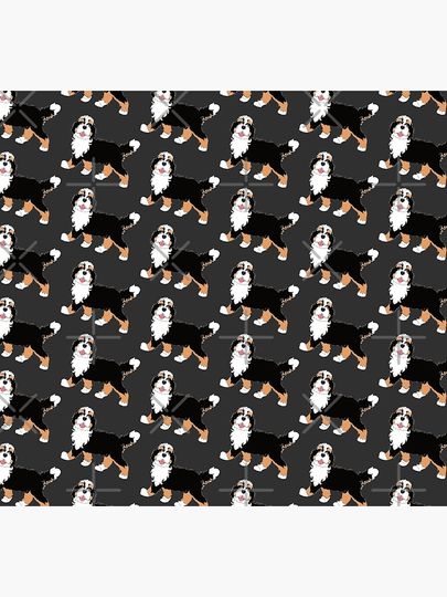 Tri Color Bernedoodle Socks