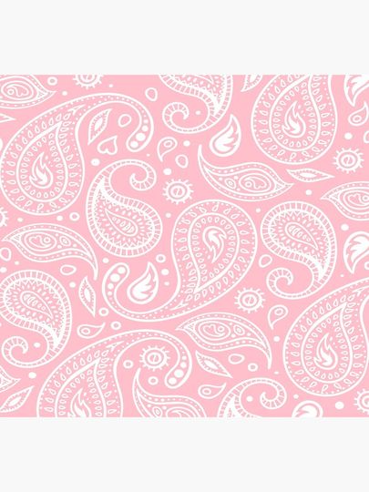 Paisley Pattern White on Light Soft Baby Pink Background Bandana Style Design Socks