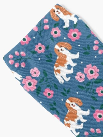 Blenheim Cavalier King Charles Spaniel Playing at Night in a Garden Socks