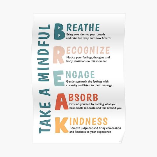 Mindful Break Wellness Check In Mindfulness Grounding Mental Health Art Therapy Office Decor School Counseling Premium Matte Vertical Poster