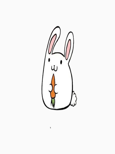 Carrot Rabbit Classic T-Shirt for Men and Women