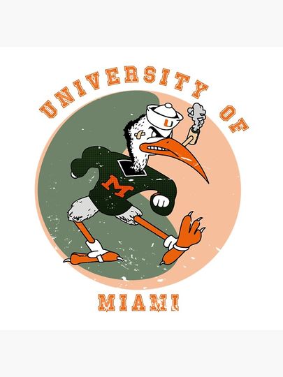 University Of Miami Law  Throw Pillow