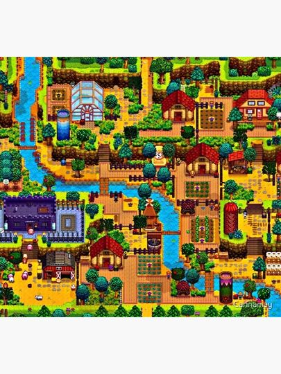 Stardew valley map Socks