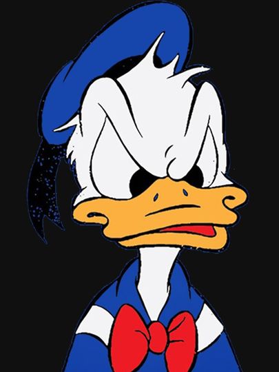 Donald Duck Classic T-Shirt, Disneyland Shirt, Disney Vacation Shirt