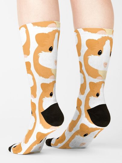 Guinea Pig - White Socks