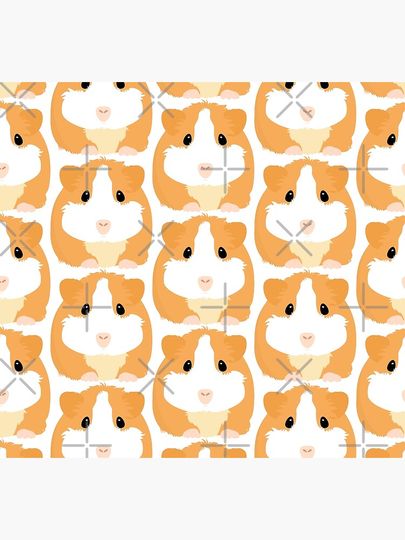 Guinea Pig - White Socks