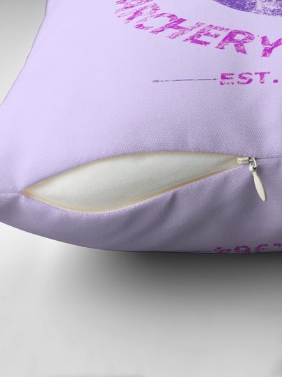 Barton's Archery Academy Pillow