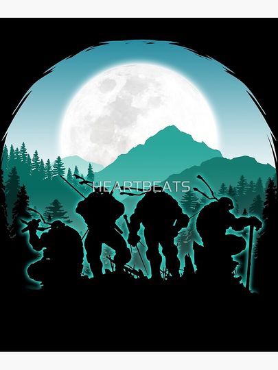 Ninja Turtle Canvas, home decor