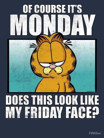Garfield Of Course It's Monday...Friday Face  Premium Hoodie