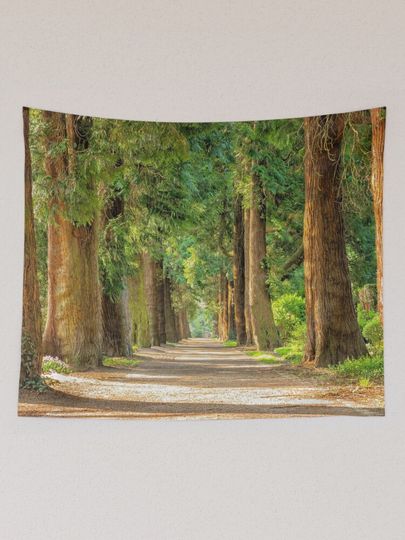 Back country road avenue of redwood trees nature forest color landscape Tapestry