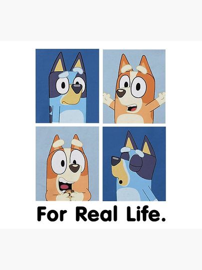 Blueys Family FR Life Socks