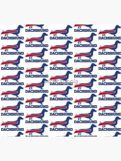 Buffalo Bills Dachshund Socks, Gift For Fan