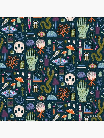 Curiosities Pillow