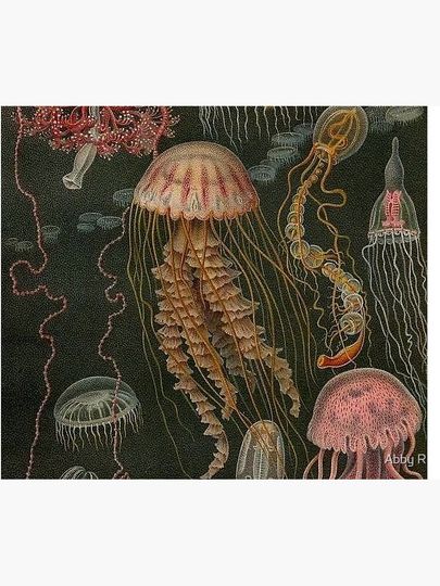 Dark Jellyfish Poster Tapestry