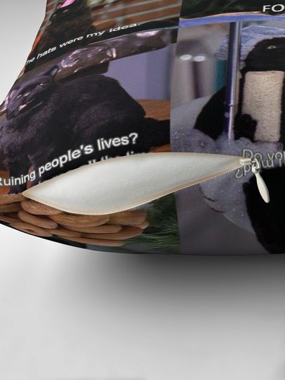 Musings of Salem Pillow