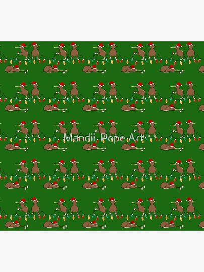 Kiwi Christmas Socks