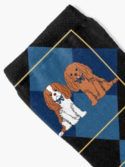 Lattice Cavalier King Charles Spaniel - Blenheim and Ruby Socks