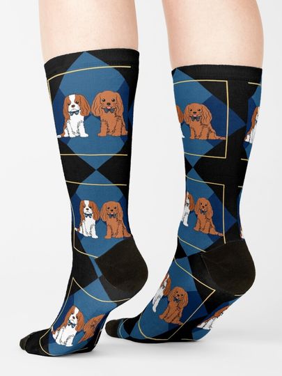 Lattice Cavalier King Charles Spaniel - Blenheim and Ruby Socks