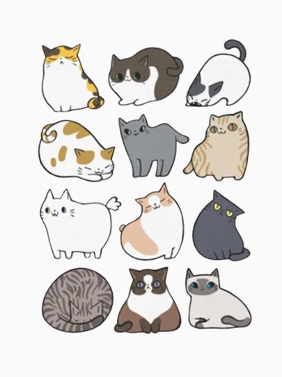 All Cat Classic T-Shirt for Men and Women
