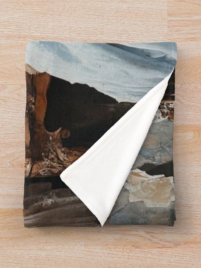 Cinderellas Mirror Throw Blanket