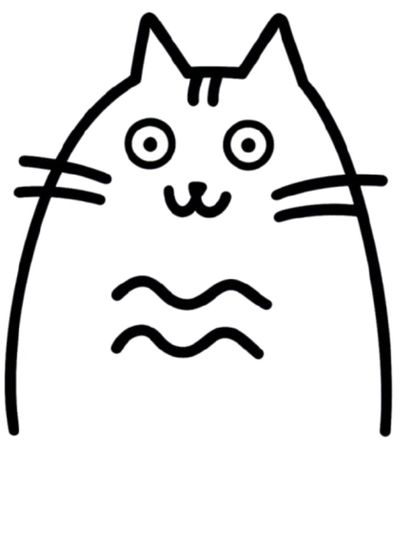 The Silly Kitty Oversized T-Shirt for Women and Men