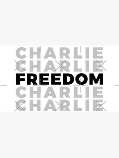 Charlie Kirk FREEDOM Cap