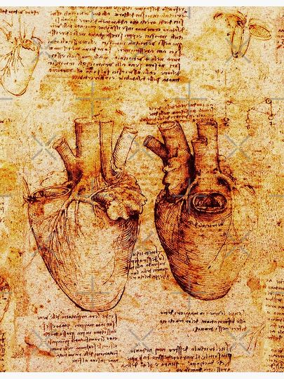 Heart And Its Blood Vessels. Leonardo Da Vinci,Anatomic Study 2,Brown Premium Matte Vertical Poster