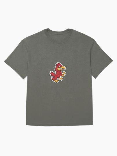 Gamecock  T-Shirt, Gift for Fan