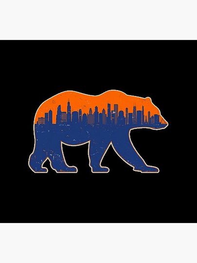 Chicago Bears Socks, Gift For Fan