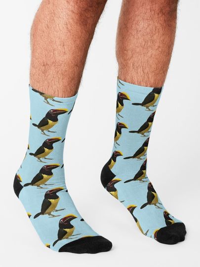 C is for Custom Bird  Socks