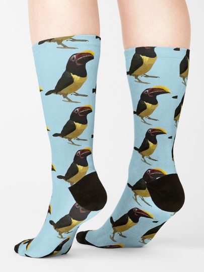 C is for Custom Bird  Socks