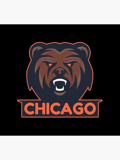 Chicago Bears Socks, Gift For Fan