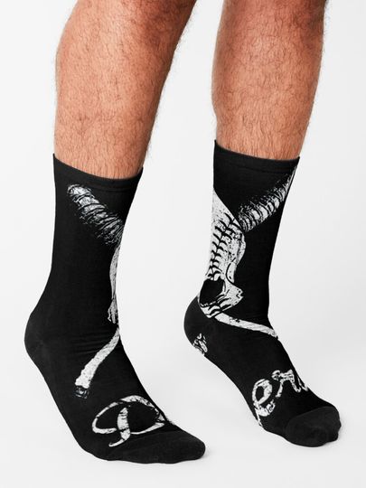 Baseball | Los Angeles Dodgers Socks