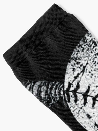 Baseball | Los Angeles Dodgers Socks