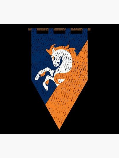 Denver Broncos Socks, Gift For Fan