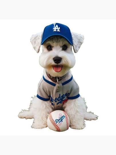 Los angeles dodgers Poster