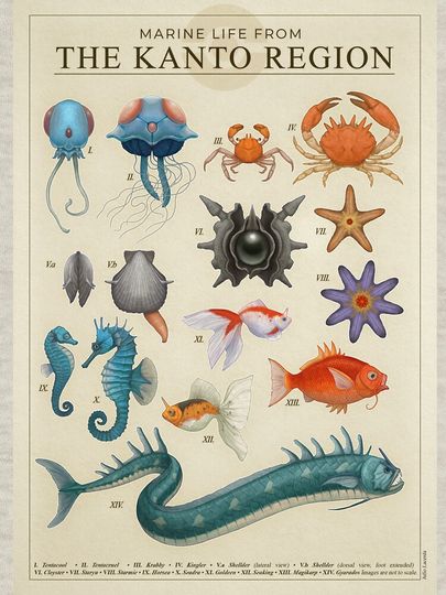 Marine Life from Kanto Essential T-Shirt