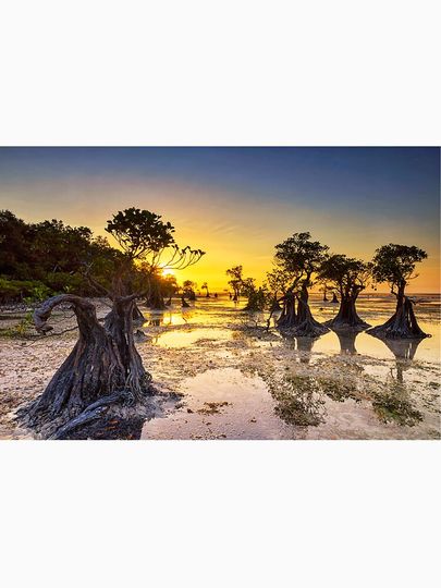 Luka Doncic Classic T-Shirt