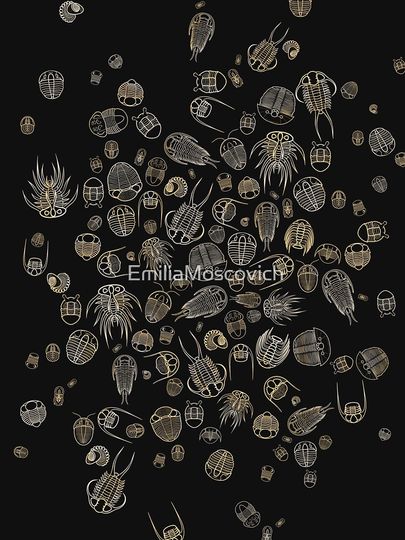 Trilobite Pattern (oval, yellow/gold & black) Lightweight Hoodie