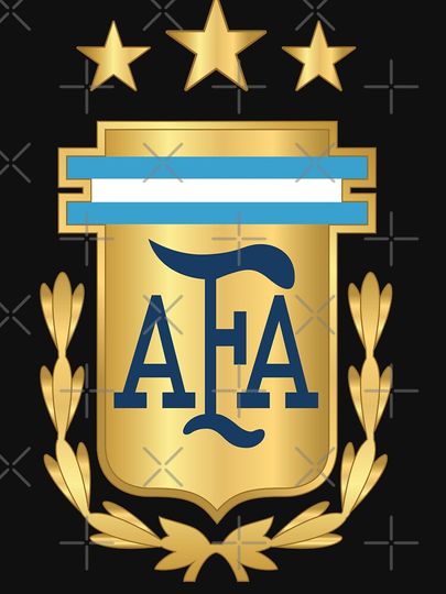 Argentina AFA  Sweatshirt, Lionel Messi Sweatshirt, Messi Fan Sweater