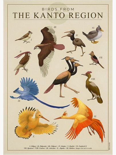Birds of Kanto Poster
