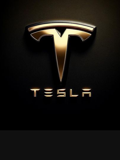 Tesla logo Long Sleeve T-Shirt