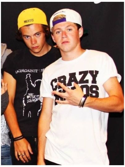 Narry Frat Boy Era One Direction Poster
