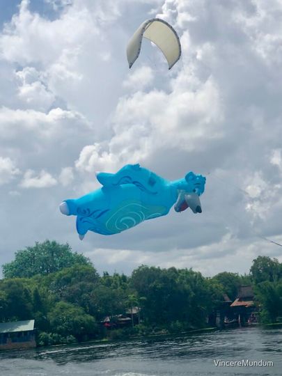 Kite Tails @ Animal Kingdom Classic T-Shirt