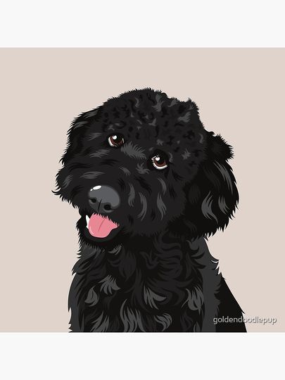 Black Goldendoodle Pillow