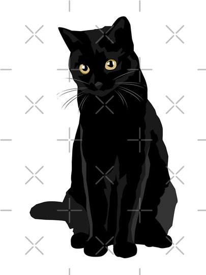 Black Cat Boxy T-Shirt