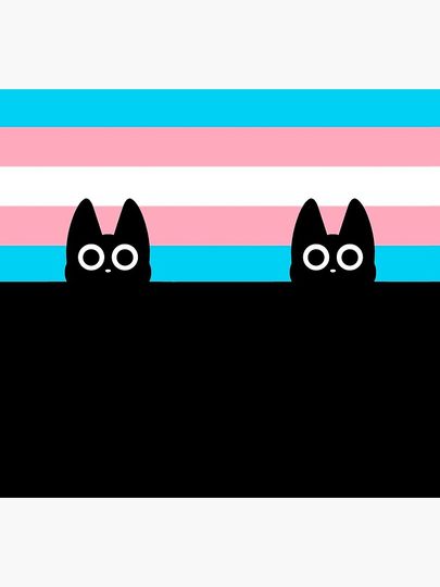 black cat and trans flag Socks