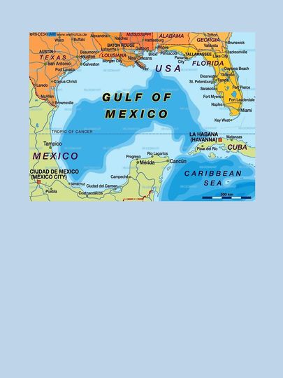 GULF OF MEXICO Classic T-Shirt