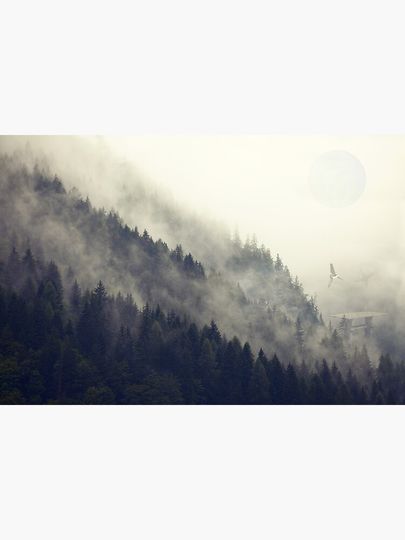 Forest Moon Canvas Print