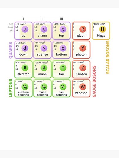 The Standard Model of Particle Physics Premium Matte Vertical Poster